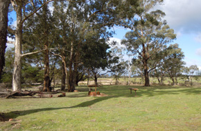 Grampians Old Emu Stay Accommodation site